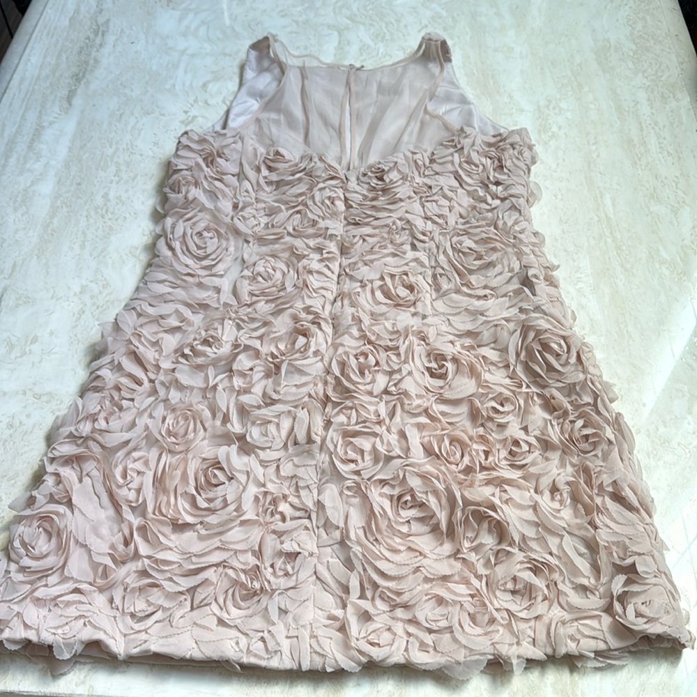 NWT Flower embellished dress